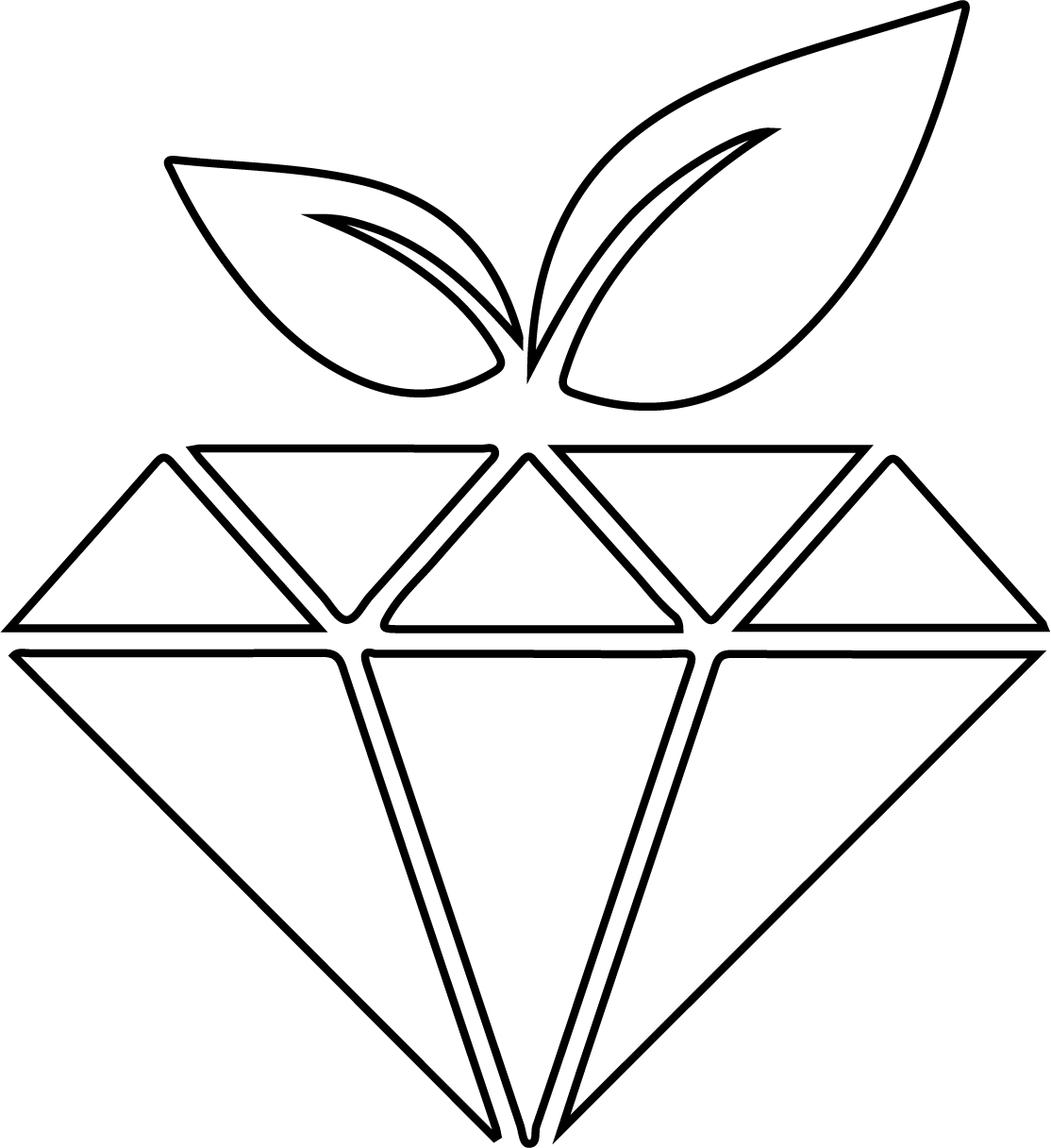  Shape